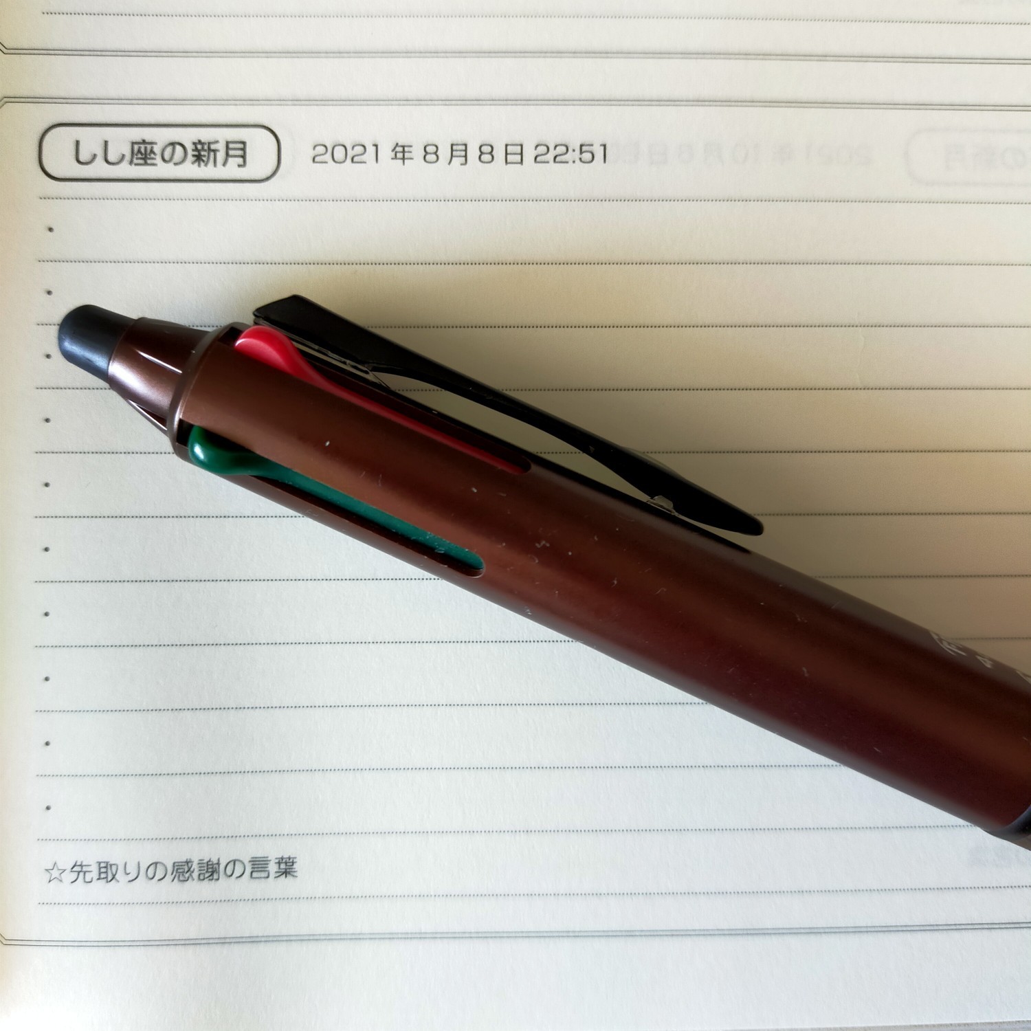 新月のお願い Inしし座の例文 さとうめぐみのハッピー手帳セラピー 新月のお願い Inしし座の例文 さとうめぐみのハッピー手帳セラピー