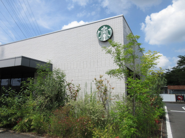 スターバックス・コーヒー 多治見光ケ丘店_c0152767_08101268.jpg