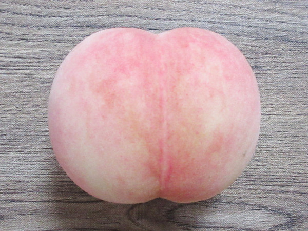 まなみ_c0152767_20285854.jpg