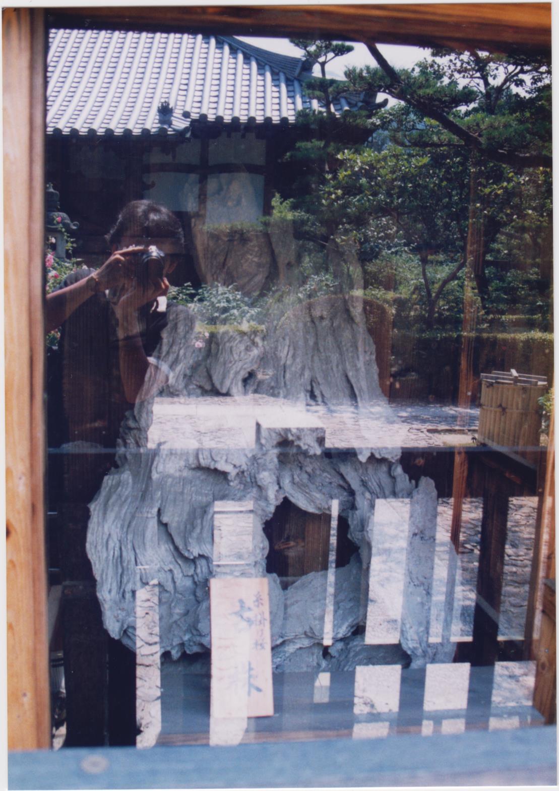 【悲しみの名所】日本枯名木あちこち〜最近から昔から【いにしえの香り】東京、川崎、鎌倉、京都、奈良、高知、愛媛、西表島、東北_b0116271_21183104.jpg