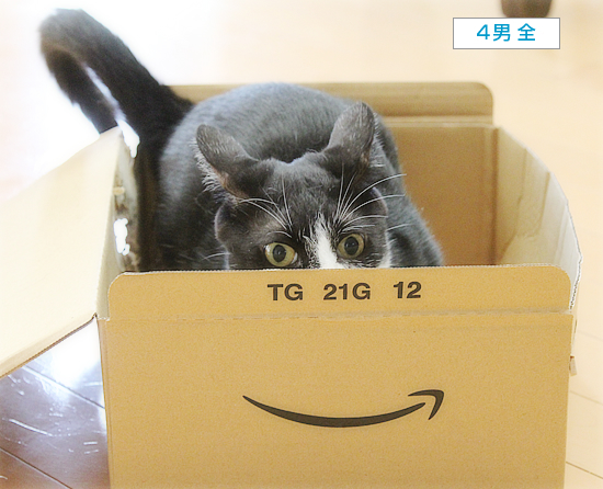 箱王子誕生_a0389088_06362902.jpg