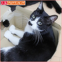 箱王子誕生_a0389088_06363047.jpg