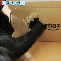 箱王子誕生_a0389088_06363083.jpg