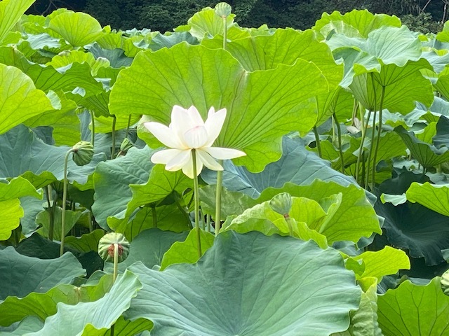 気がつけば3連休前_f0232994_13151139.jpg