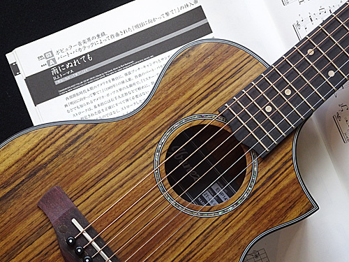 美品】 Ibanez EWP14WB ピッコロギター 社外ケース付 送料込み