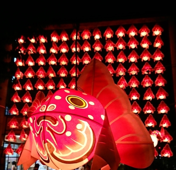 廣田神社の金魚ねぶた と 黒マー油ラーメン おもちゃ箱ぐらし 青森市 お花教室 ケイ フルール
