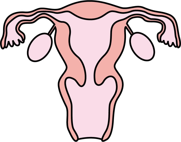 子宮内膜症にともなう子宮筋腫が小さくなって消えてきました。_f0135114_13010088.jpg