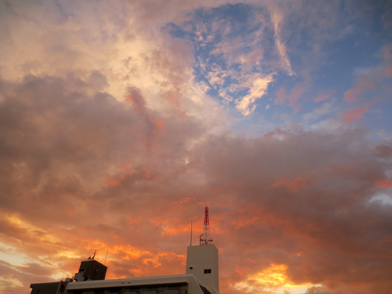 真っ赤に燃える街 夕焼けは嫌い 朝日新聞 記事 そして週替わりの夕暮れ 8 4 6 9 編集長日記 図書出版 花乱社