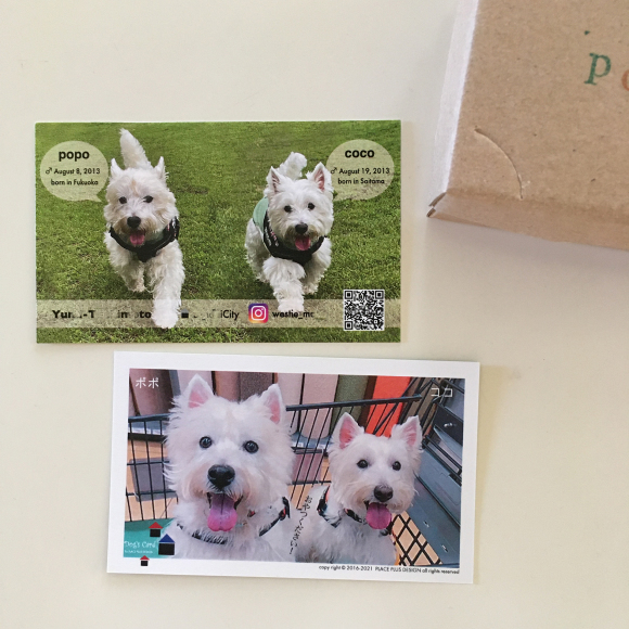 犬の名刺_b0107163_15153151.jpg