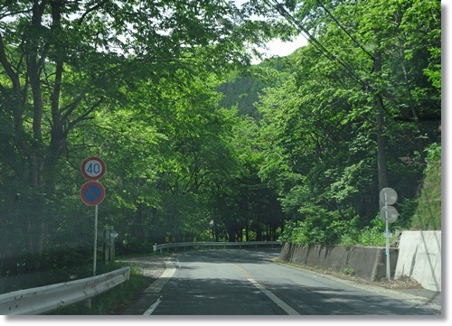 水上温泉　　山のご馳走を堪能_d0013068_11471544.jpg