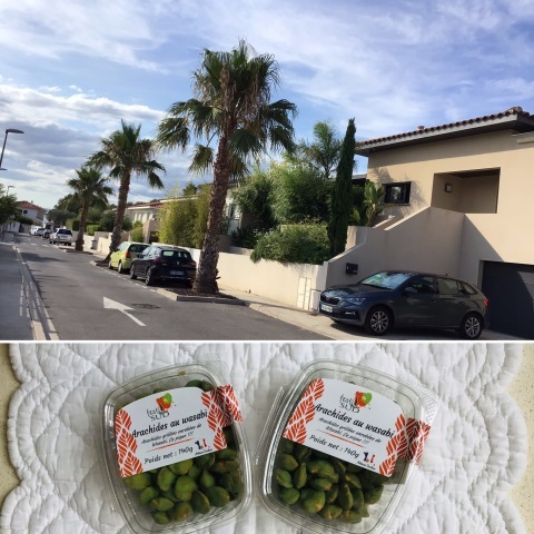 8月8日_c0134071_11303820.jpeg