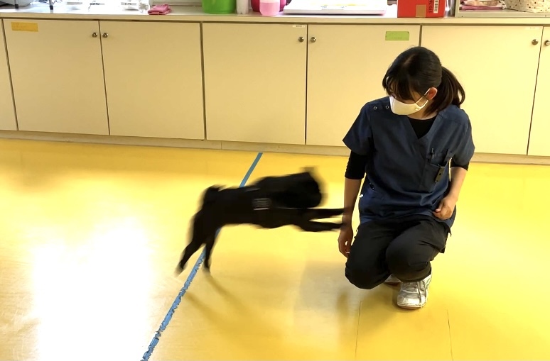 トレーニングブログ_f0357682_11574181.jpeg