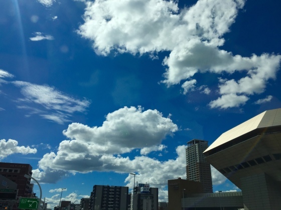 それ専用の鉢_a0258686_00123747.jpeg