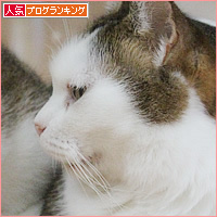 元祖・兄妹の最近_a0389088_16483430.jpg