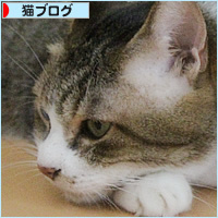 元祖・兄妹の最近_a0389088_16483468.jpg