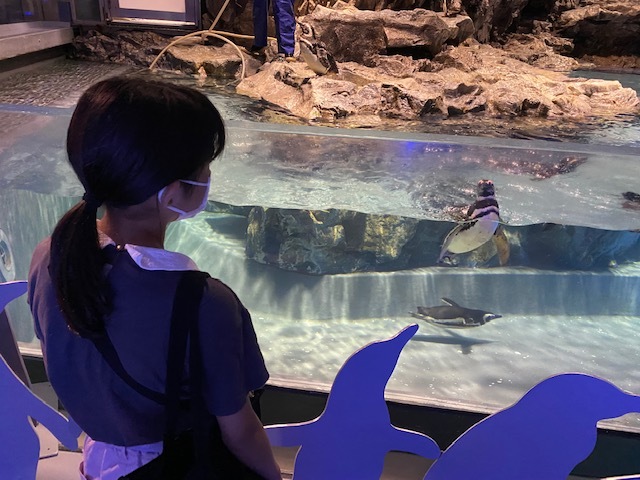 すみだ水族館へ_d0122797_01041663.jpg