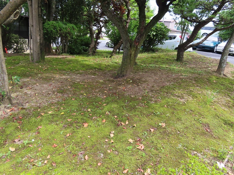 BRZの6速オートマチックを再検証_f0076731_19082802.jpg