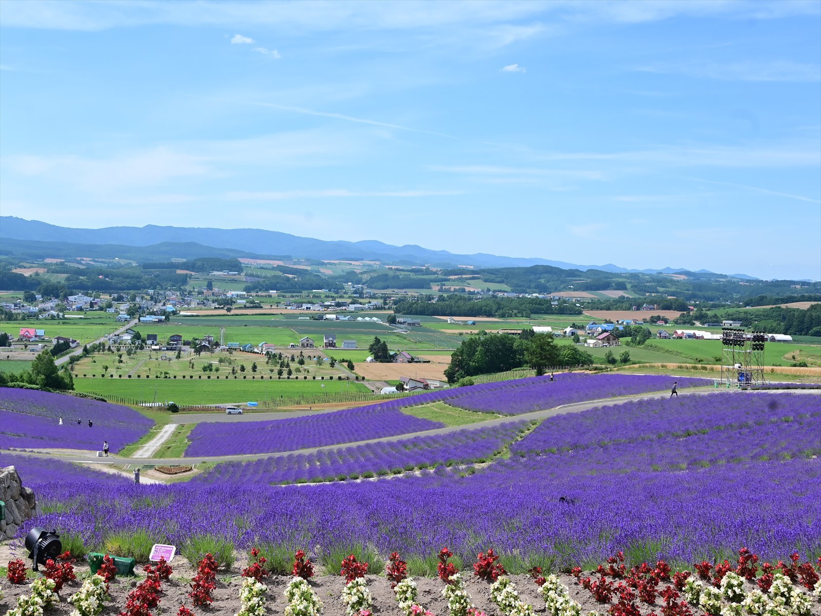 富良野 日の出ラベンダー園 Tax Accountant Office ソフトボールブログ