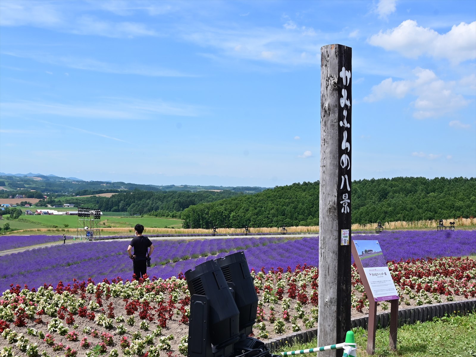 富良野 日の出ラベンダー園 Tax Accountant Office ソフトボールブログ