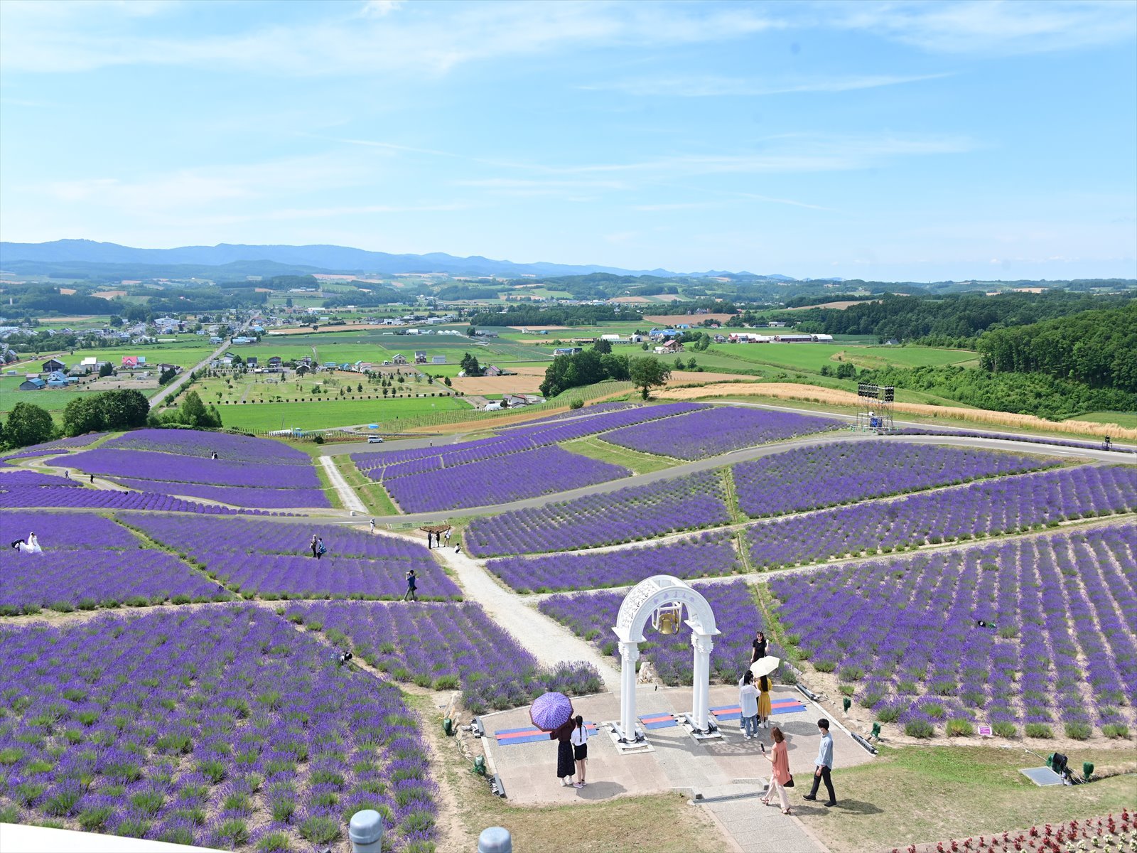 富良野 日の出ラベンダー園 Tax Accountant Office ソフトボールブログ