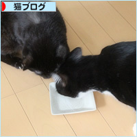 ホタテ祭りの行く末は・・・_a0389088_19283296.jpg