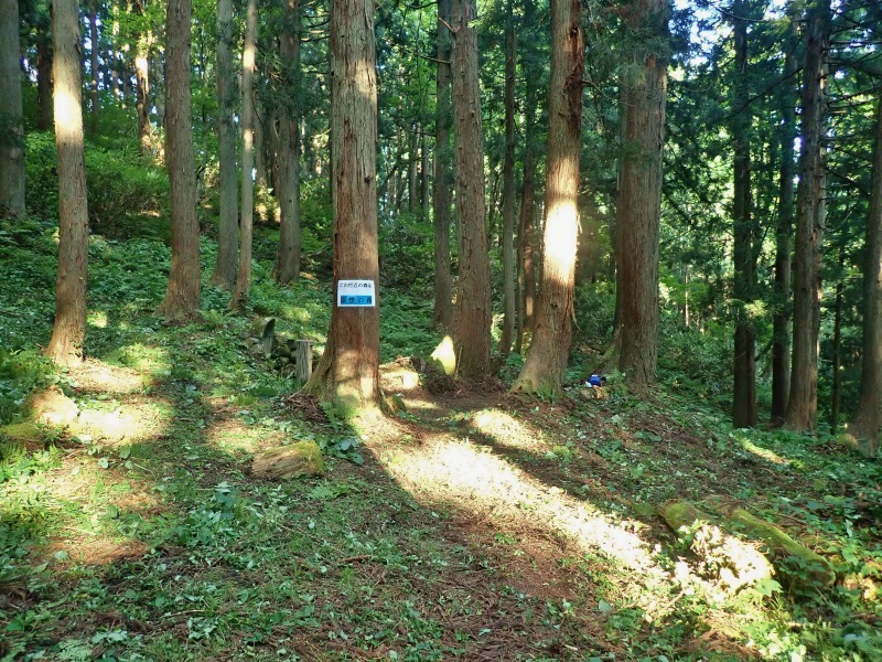 観音様の帰りにはカモシカと遭遇！_c0336902_17282729.jpg