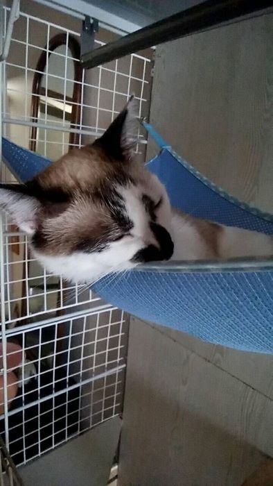 熱中症アラート対策_c0155326_08312012.jpg