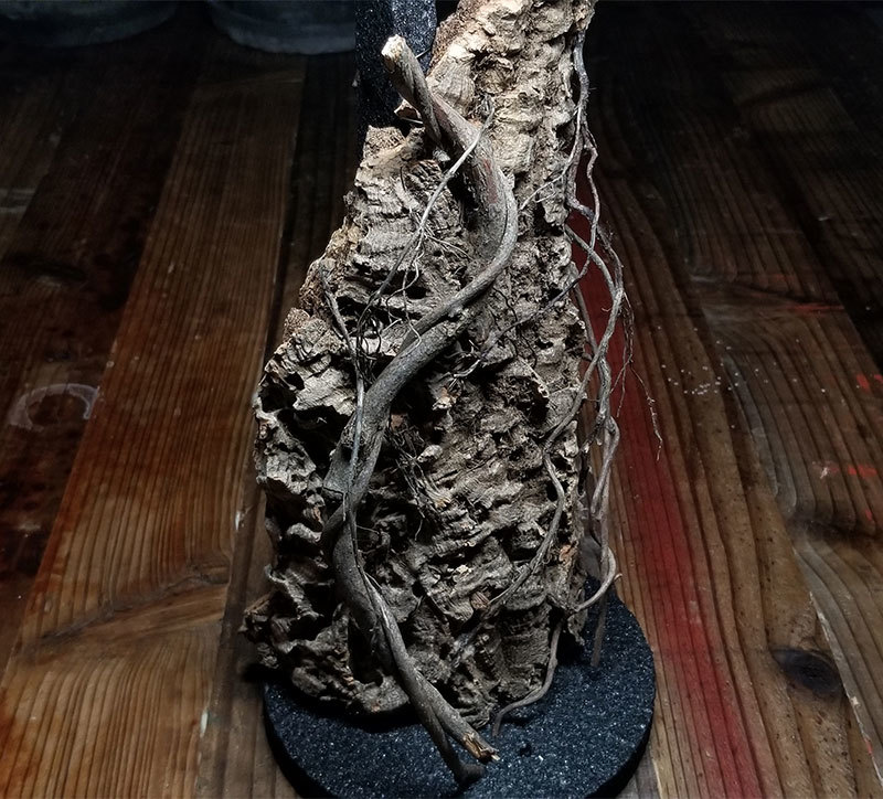パルダリウムの作り方 【 縦長ボトル編 】 : ZERO PLANTS / BLOG