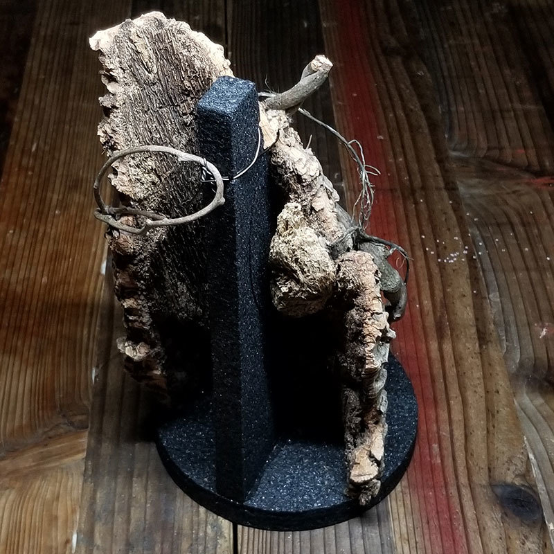 パルダリウムの作り方 縦長ボトル編 Zero Plants Blog