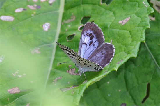 中信の山へ　前編_e0167571_21504780.jpg