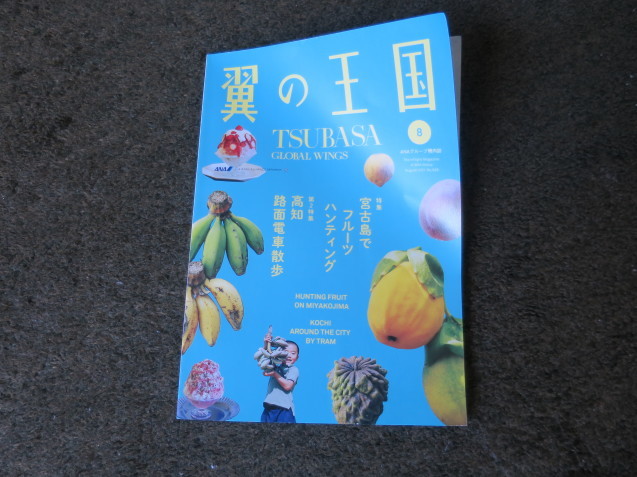 夢の甲子園_c0402074_11424521.jpg