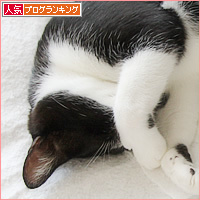 むすんで、ひらいて_a0389088_16265629.jpg