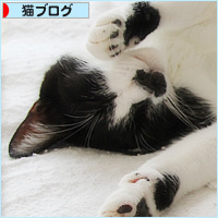 むすんで、ひらいて_a0389088_16265637.jpg
