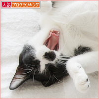 野生のかけらもない_a0389088_16493943.jpg