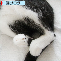 野生のかけらもない_a0389088_16493956.jpg