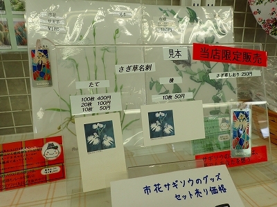 さぎ草展が始まりました_f0203094_13491132.jpg