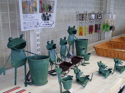 さぎ草展が始まりました_f0203094_13585588.jpg