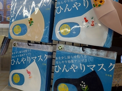 さぎ草展が始まりました_f0203094_15032951.jpg