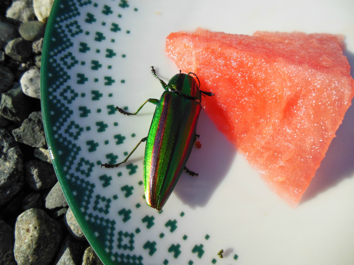 夏季休暇_e0238112_16101237.jpg