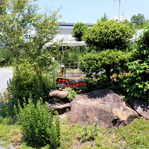 亀を作れず お宿のツゲの木は普通に剪定 山梨県北杜市明野の宿 ナナミちゃんのお宿日記 亀を作れず お宿のツゲの木は普通に剪定 山梨県北杜市明野の宿 ナナミちゃんのお宿日記
