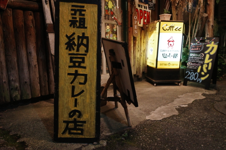 カレーショップ山小屋 長野県長野市大字南/カレー レストラン ~ ブロンプトンと夏の長野県へ その9_a0287336_16275318.jpg