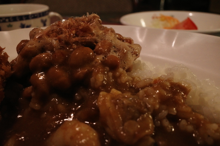 カレーショップ山小屋   長野県長野市大字南/カレー レストラン ~ ブロンプトンと夏の長野県へ その9_a0287336_16490645.jpg