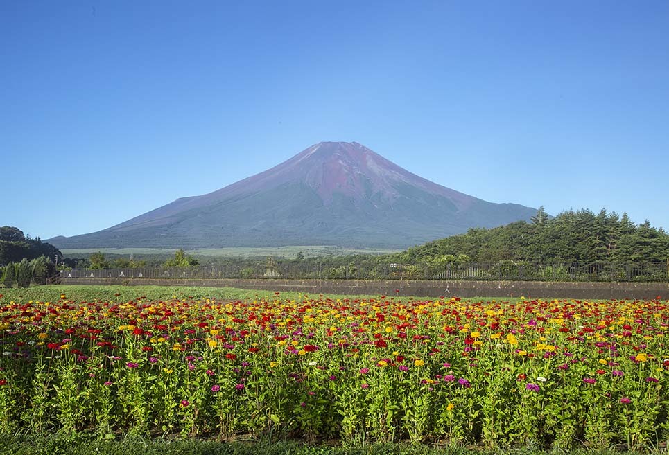 令和２年８月４日～５日の写真から_b0355457_08440099.jpg