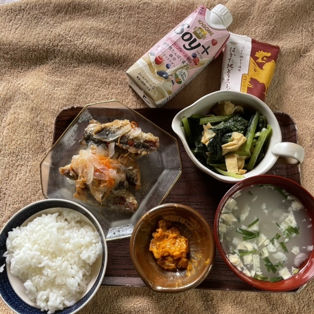 【食】2021.08.11の昼食（鯵の南蛮漬け、小松菜と薄揚げの煮物、はかた地鶏スープ、うにくらげ、カゴメ野菜生活、ライス）　で、ベッドから眺める庭に癒し_d0396795_13141746.jpeg