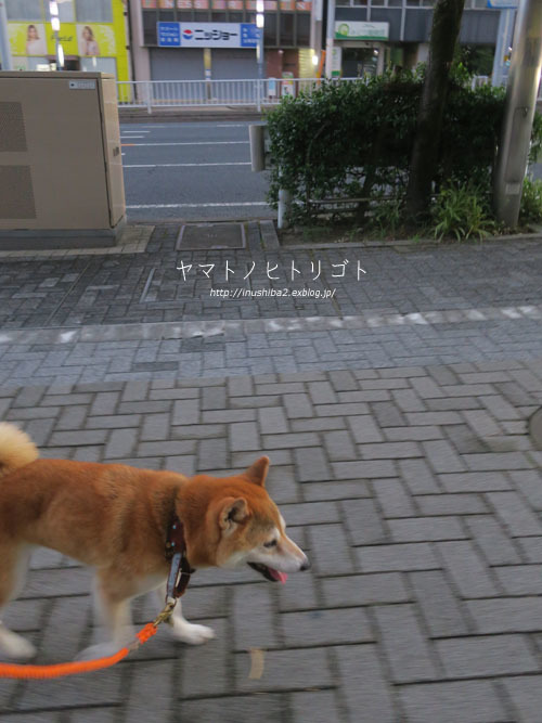 カオナシの朝_e0394031_07210707.jpg