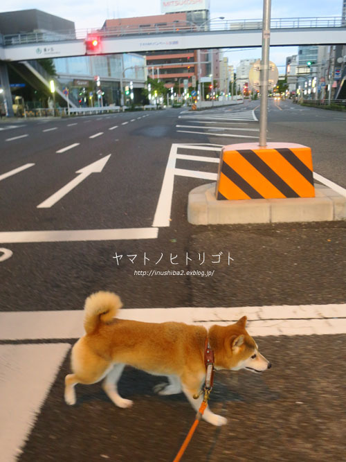 カオナシの朝_e0394031_07212195.jpg