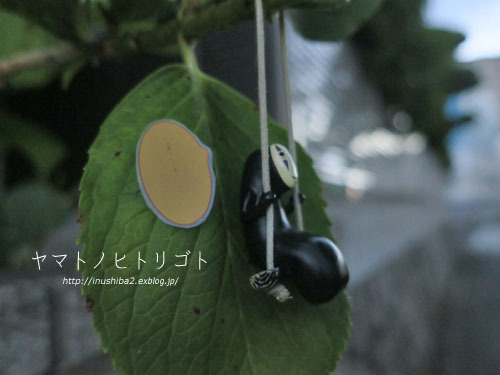 カオナシの朝_e0394031_07213331.jpg