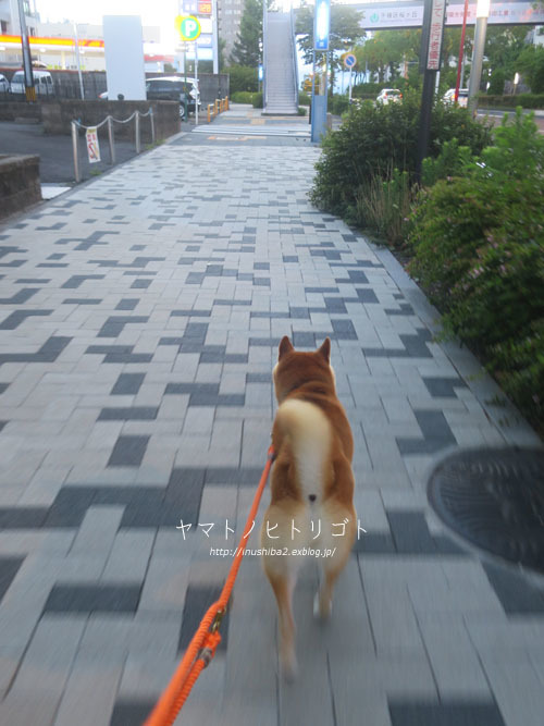 カオナシの朝_e0394031_07223558.jpg