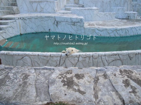 東山動物園②_e0394031_09081972.jpg