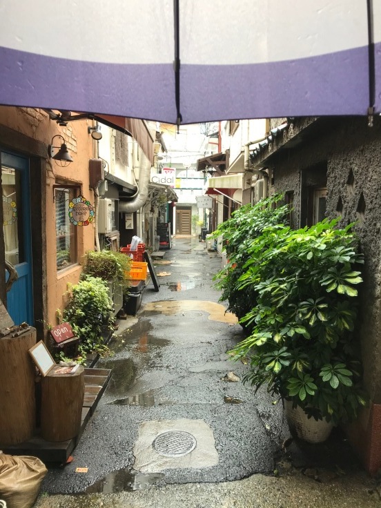 癒しのグリーンたち♪_d0402639_15162485.jpg